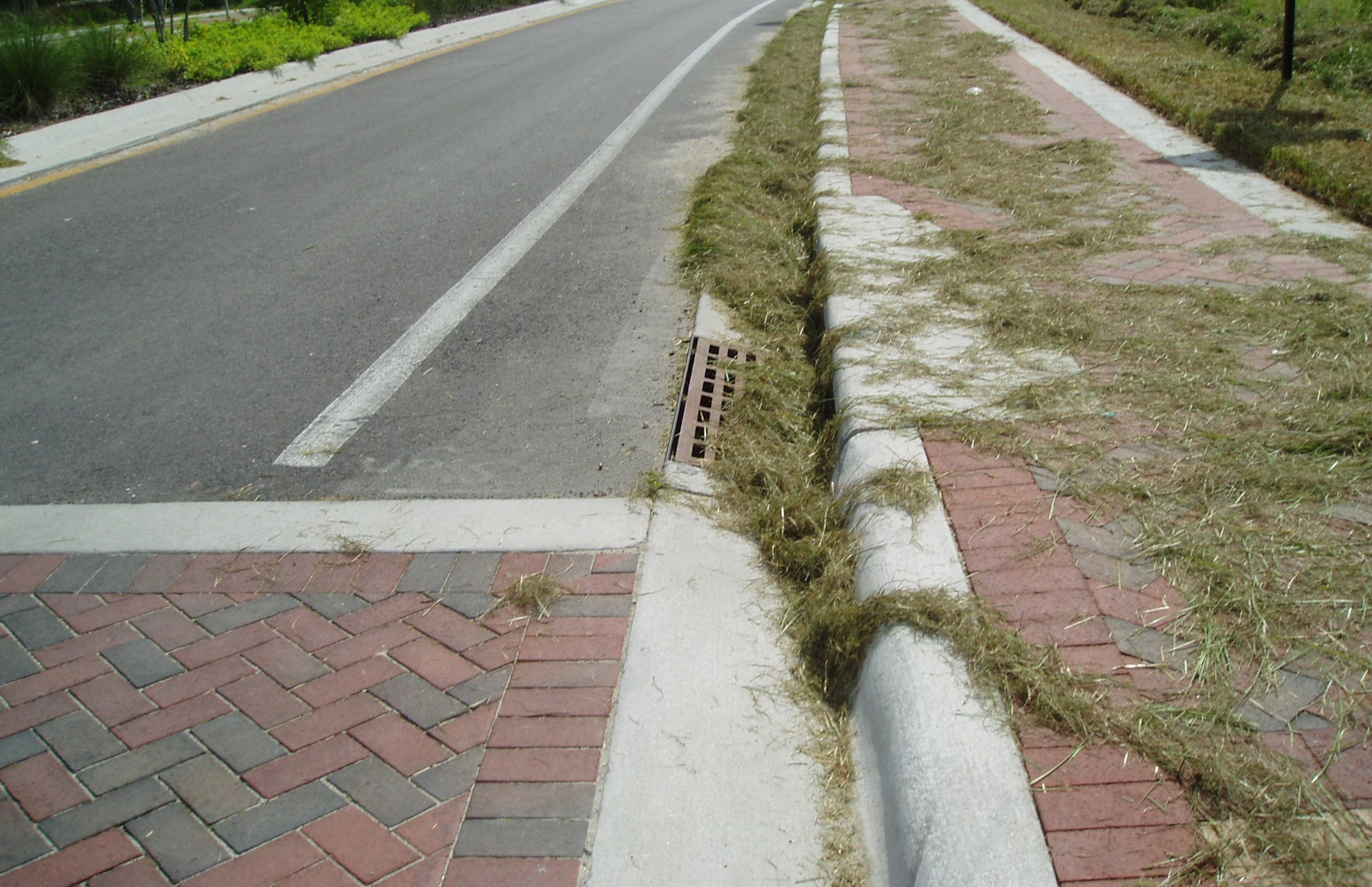 Codes and Compliance